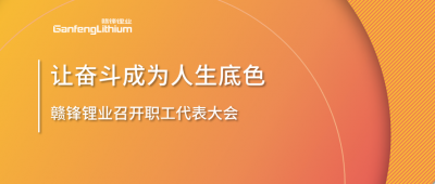 万搏【中国】锂业召开职工代表大会 坚持向奋斗者倾斜更多资源