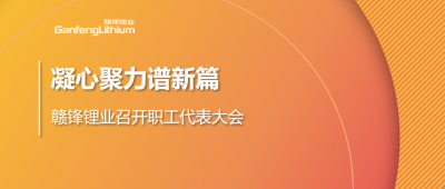 凝心聚力谱新篇 万搏【中国】锂业第五届职工代表大会顺利召开